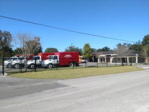 Fort Walton Beach Tree removal services